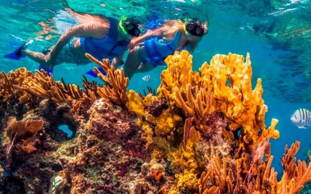 Full-Day El Cielo Snorkel Tour in Cozumel with Transportation and Lunch photo 5
