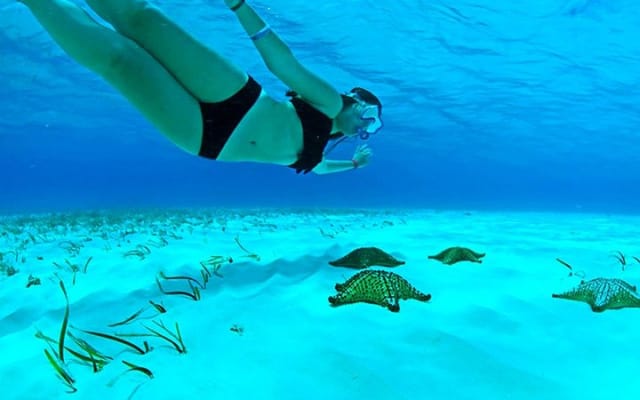 Full-Day El Cielo Snorkel Tour in Cozumel with Transportation and Lunch photo 8