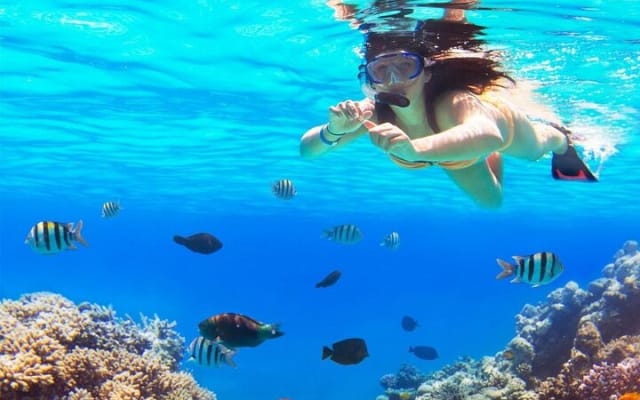 Full-Day El Cielo Snorkel Tour in Cozumel with Transportation and Lunch photo 9
