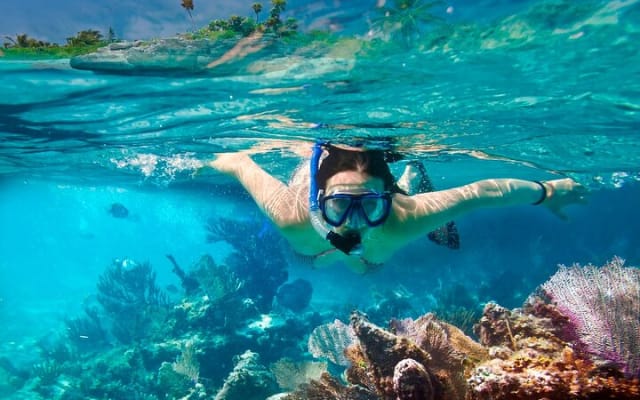 Full-Day El Cielo Snorkel Tour in Cozumel with Transportation and Lunch photo 10