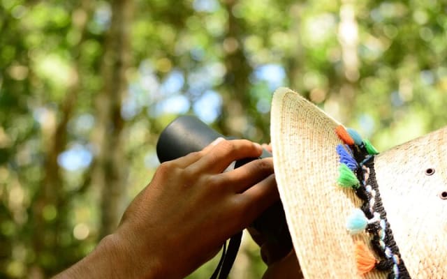 Birdwatching in Coba from Tulum - Shared Group Tour photo 10