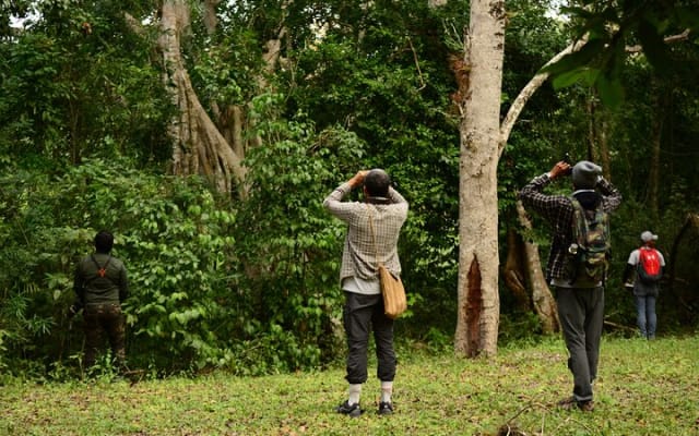 Birdwatching in Coba from Tulum - Shared Group Tour photo 3