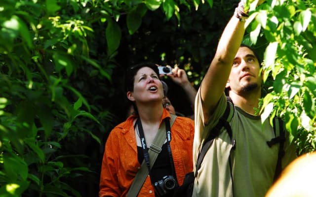 Birdwatching in Sian Ka´an Muyil from Tulum - Shared Group Tour photo 10
