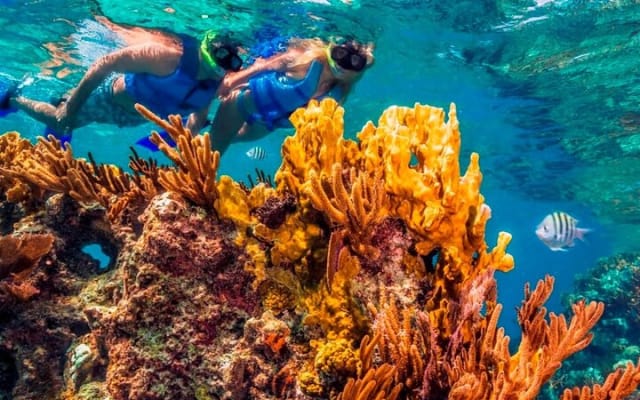 Live this unique snorkeling experience. El Cielo in Cozumel a magical tour. photo 11