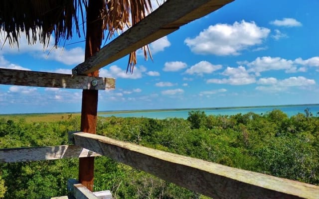 Birdwatching in Sian Ka´an Muyil from Tulum - Shared Group Tour photo 14