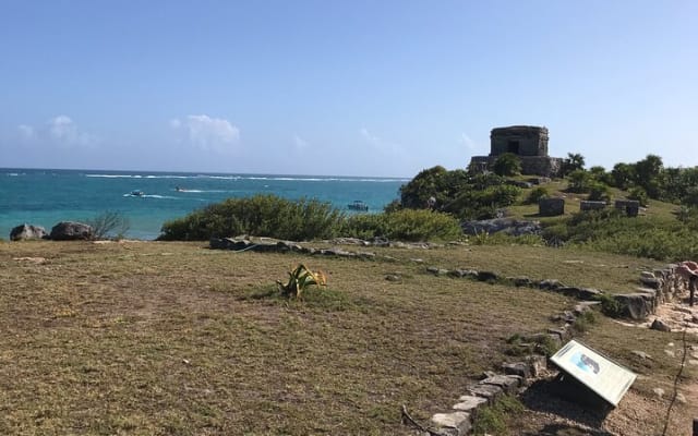 Tulum Ruins Tour (Private, Half Day) photo 8