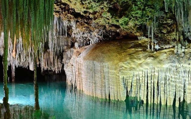 Discover a secret river in middle of the Jungle. Buffet included. photo 3