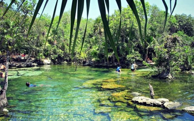 Kayak Adventure in Bacalar! Discover the wonders of the lagoon. photo 8