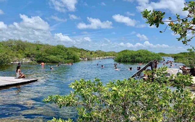 Swim in the beautiful Yalku & Cenote, includes transport & guide photo 3
