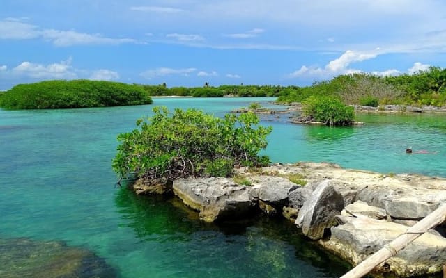 Swim in the beautiful Yalku & Cenote, includes transport & guide photo 5