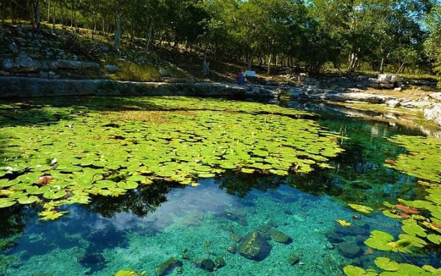 ECHANTING 2 Days excursion to 2 different ecoparks in RIVERA MAYA with transport photo 12