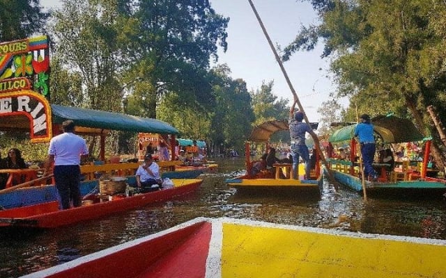 Private City Tour in Frida Kahlo, Coyoacan, and Xochimilco