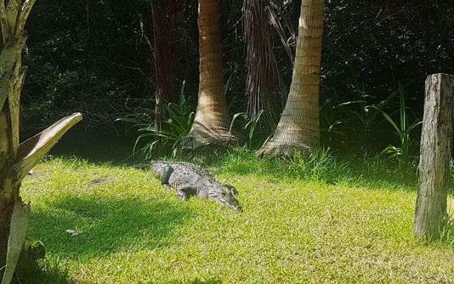 Tour 4 en 1 - Mazunte, fábrica de cacao, La Ventanilla y desove de tortugas photo 5
