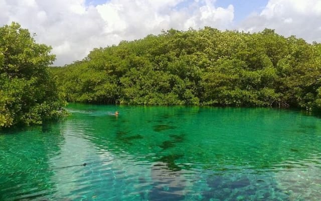 Discovery Scuba Diving photo 4