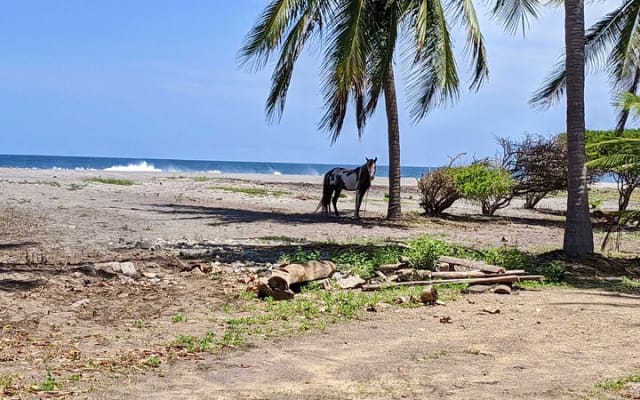 Tour 4 en 1 - Mazunte, fábrica de cacao, La Ventanilla y desove de tortugas photo 12