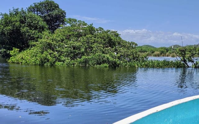 Tour 4 en 1 - Mazunte, fábrica de cacao, La Ventanilla y desove de tortugas photo 14