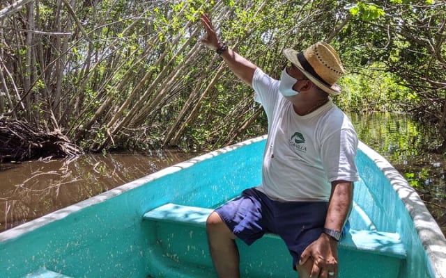 Tour 4 en 1 - Mazunte, fábrica de cacao, La Ventanilla y desove de tortugas photo 4