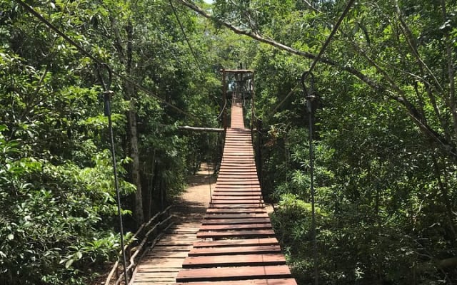 Horseback riding and ATV in the jungle, Ziplines, Cenote & Lunch photo 8