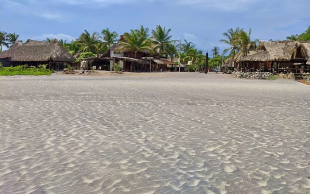 3 jours / 2 nuits à l'hôtel Xalli La Ventanilla, Suite avec Jacuzzi + tour de l'estuaire photo 15