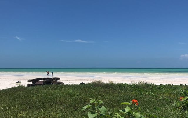 From Holbox to Cancun Private Transportation photo 4