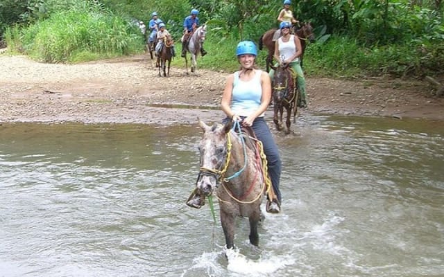 Aventure à cheval dans la jungle jusqu'à la cascade de Las Palmas, tout inclus photo 6