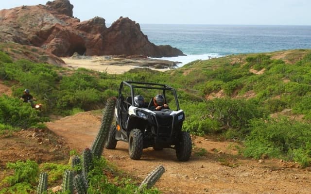 Expérience en UTV Viper Trail en petit groupe à Cabo San Lucas photo 3
