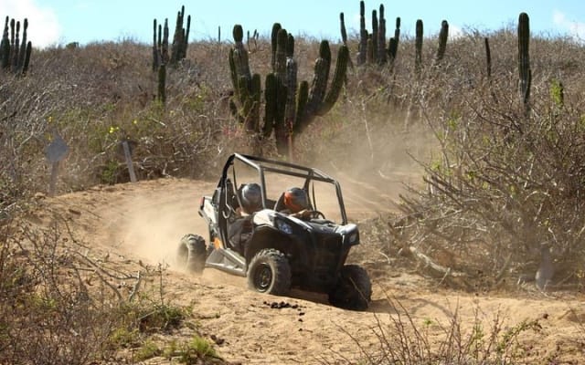 Expérience en UTV Viper Trail en petit groupe à Cabo San Lucas photo 4