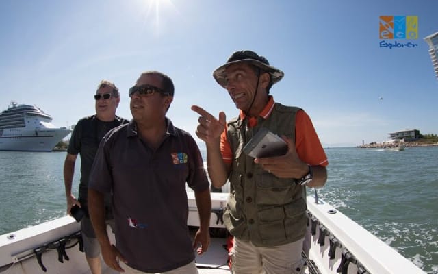 Observation privée des baleines à Puerto Vallarta photo 2