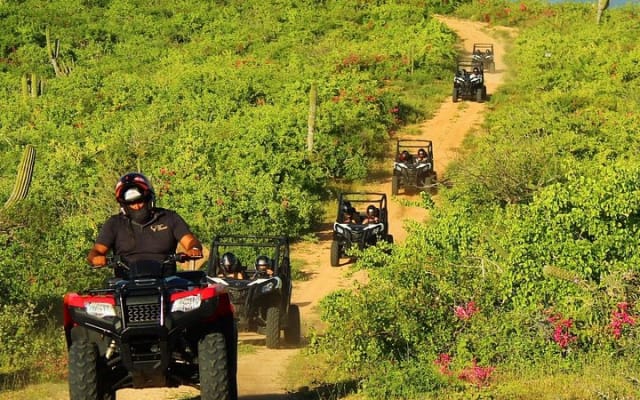 Expérience en UTV Viper Trail en petit groupe à Cabo San Lucas photo 6