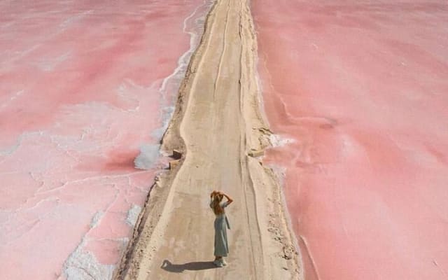 Aventure à la lagune rose de Las Coloradas depuis Playa del Carmen et la Riviera Maya photo 5