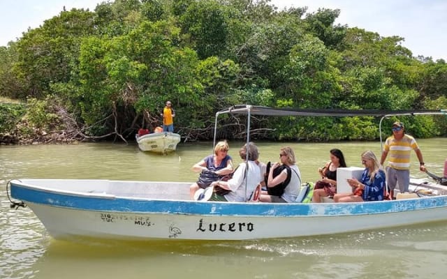 Natural Pink Lake Coloradas Transportation Included from Tulum photo 7