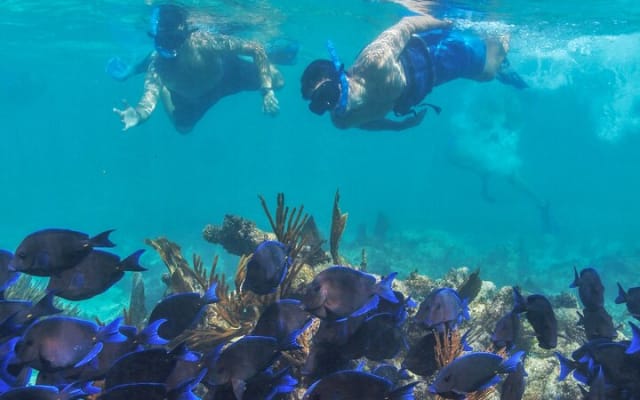 Half-Day Luxury Sailing Experience in Tulum with Open Bar photo 9