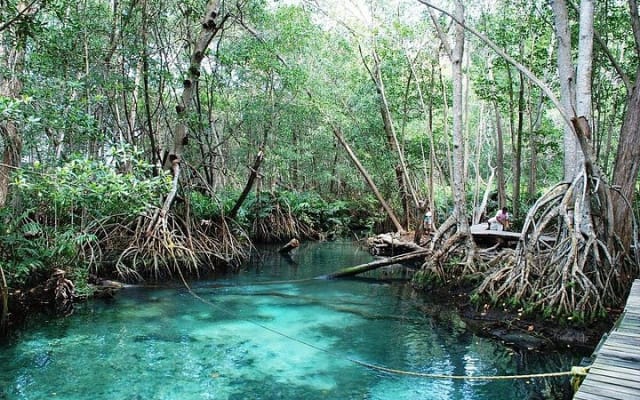 Private Tour: Celestun Biosphere Reserve by Yucatan Concierge photo 5