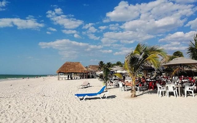 Private Tour: Celestun Biosphere Reserve by Yucatan Concierge photo 7