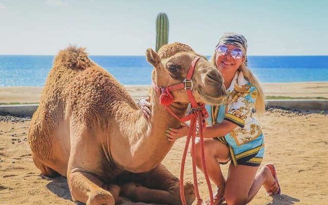 Balade à dos de chameau sur la plage et rencontre avec les chameaux à Cabo photo 4