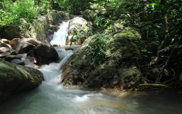 Aventure de randonnée : sentiers de rivière et merveilles de cascades photo 2