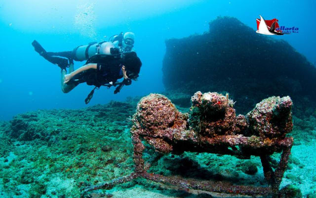 Scuba Diving Puerto Vallarta Undersea Arcos or Marietas