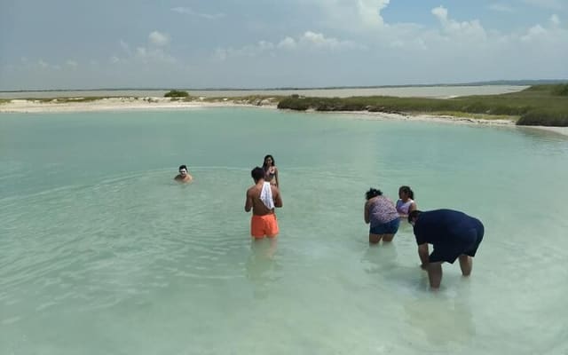 Las Coloradas & Rio Lagartos Beautiful Eco Adventure from Tulum photo 4