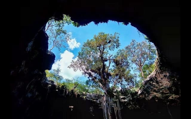 Santa Barbara Cenotes 1 Day Tour photo 6
