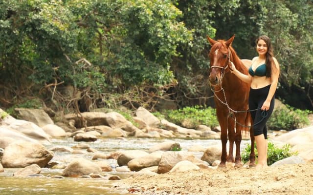 Paseo a caballo en Sayulita por senderos de selva hasta la playa photo 5