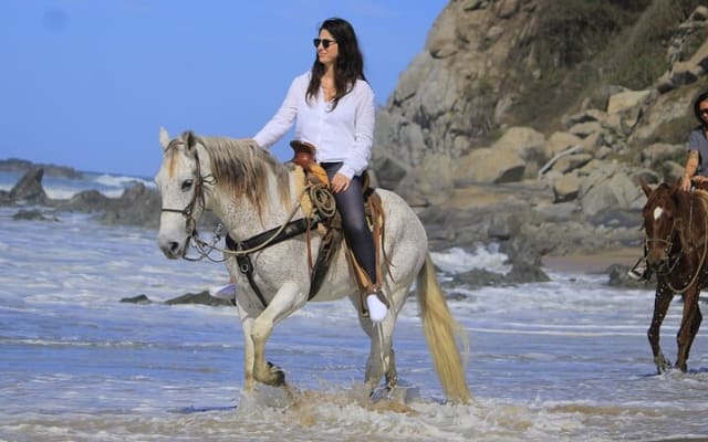 Paseo a caballo en Sayulita por senderos de selva hasta la playa photo 6