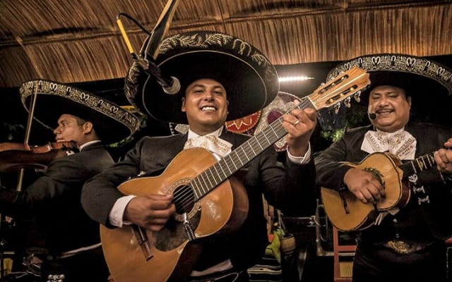 Xoximilco Night Cruise With Round Transportation from Tulum City photo 10