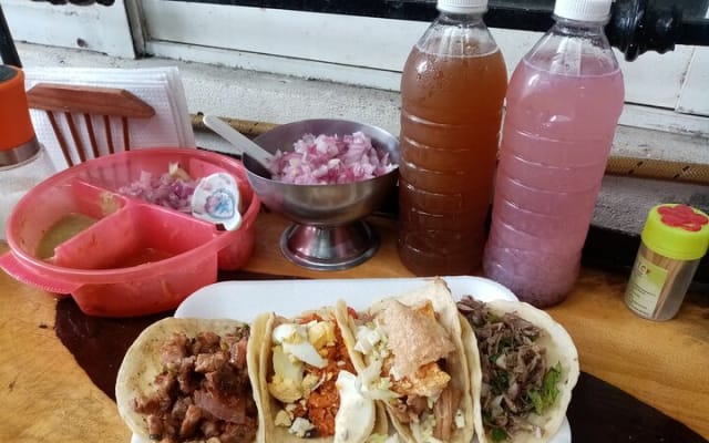 The best Taco Tour in Tulum photo 5