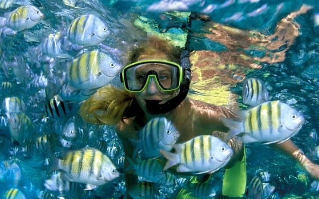 Aquatic Paradise in Tulum: Snorkel Yalku, Swim Cenote & Kaan Luum photo 9