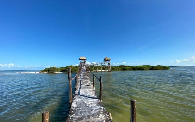 Boat Tour of Three Islands in Holbox with Transportation photo 4