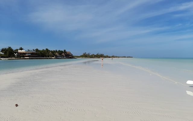 Boat Tour of Three Islands in Holbox with Transportation photo 5