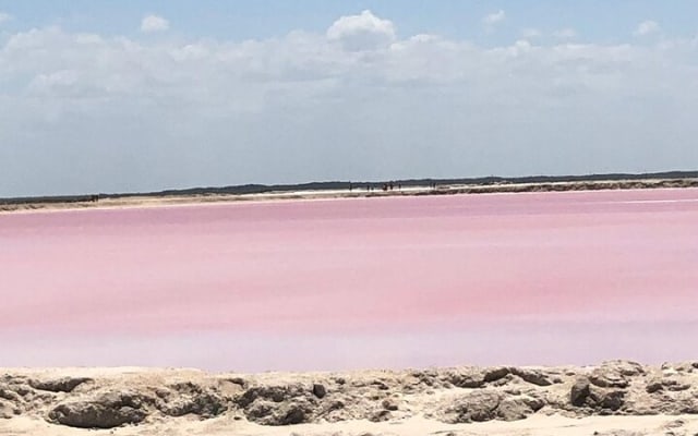 Colonial City of Valladolid, Pink Waters of Las Coloradas and Pink Flamingos photo 8