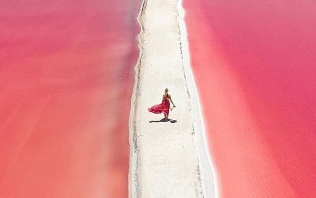Colonial City of Valladolid, Pink Waters of Las Coloradas and Pink Flamingos photo 9