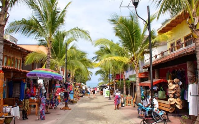 Sayulita, San Pancho et Lo De Marcos en privé jusqu'à 15 personnes photo 4