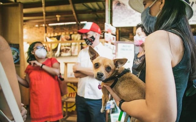 Recorrido gastronómico por los mercados con 15+ degustaciones photo 2